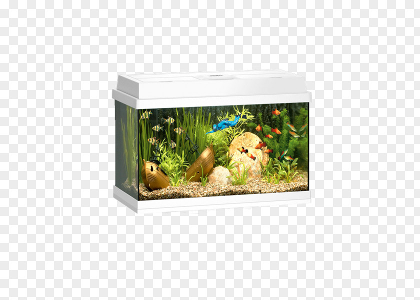 Fish Aquariums Fishkeeping Juwel Primo Pet Shop PNG