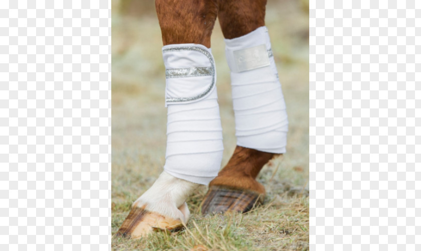 Horse Calf Bandage Ankle Knee PNG