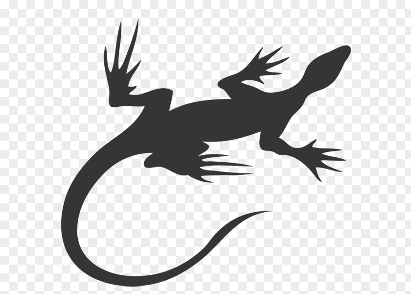 Lizard Tattoo Gecko Salamander Flash PNG