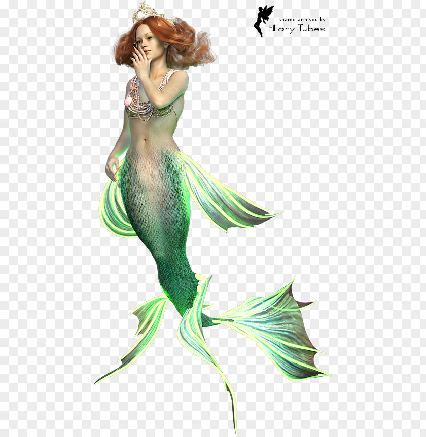 Mermaid Legendary Creature Siren Fairy Makhluk PNG