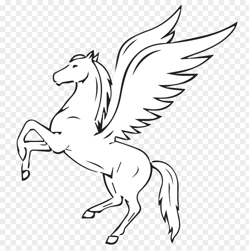 Pegasus Flying Horses Drawing PNG
