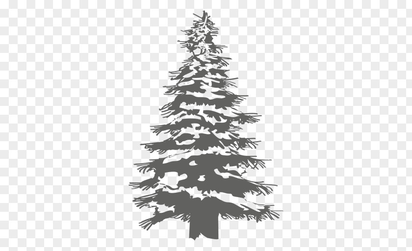 Pine Tree Christmas Fir PNG