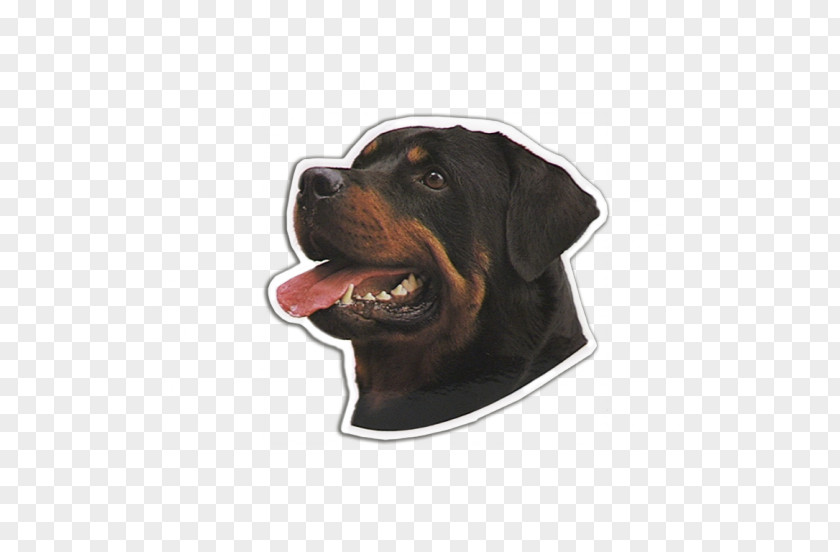 Rottweiler Black And Tan Coonhound Dog Breed Snout PNG