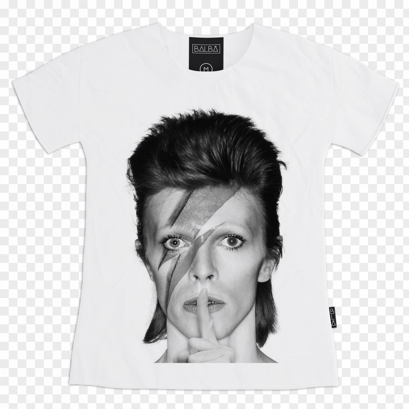 David Bowie Aladdin Sane Tour The Rise And Fall Of Ziggy Stardust Spiders From Mars Album PNG