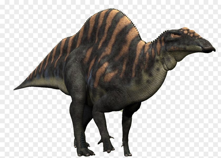 Dinosaur Ouranosaurus Camptosaurus Spinosaurus Iguanodon Late Cretaceous PNG