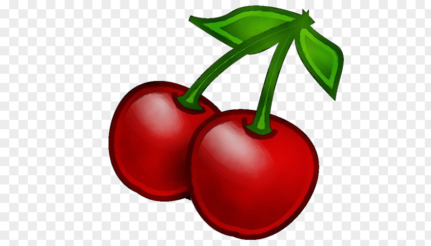 Flower Tree Plant Fruit Cherry Natural Foods Red PNG