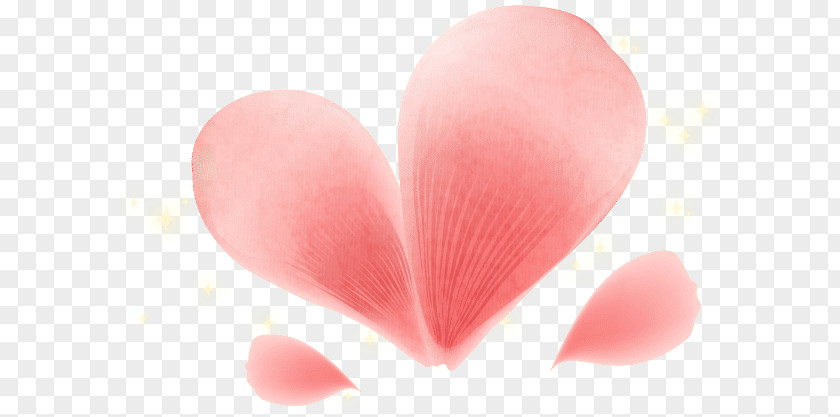 Line Heart Love Close-up Pink M PNG