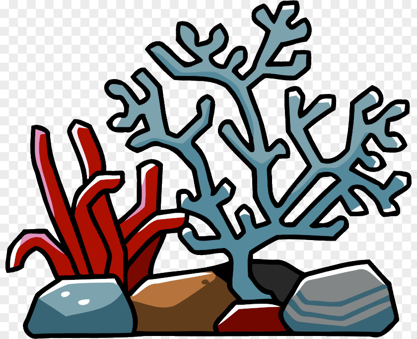 Reef Coral Triangle Clip Art PNG