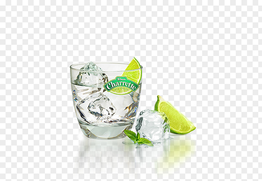 Vodka Rum Tonic Mojito Ice PNG