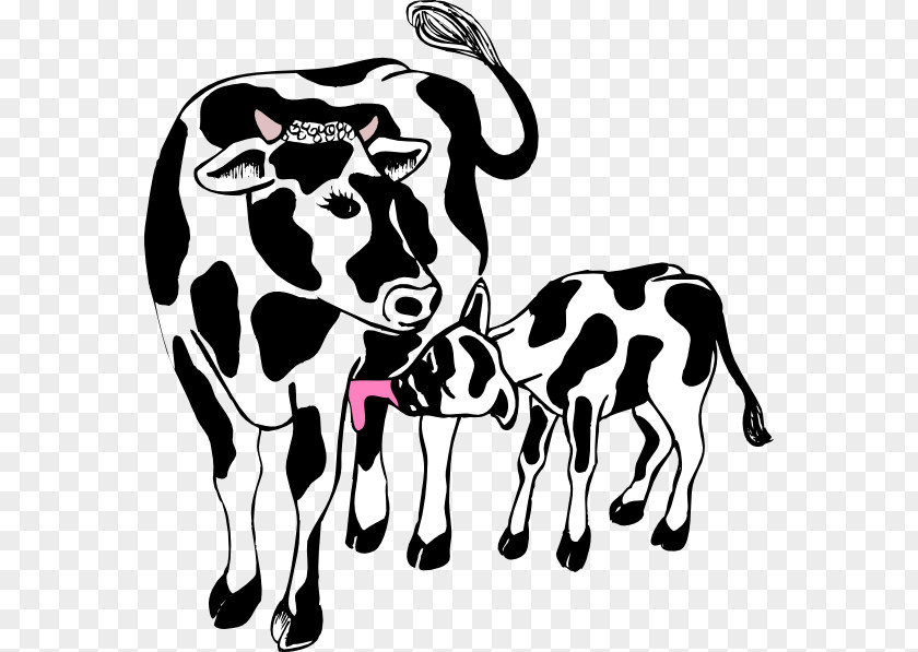 Calf Cliparts Angus Cattle Beef Clip Art PNG