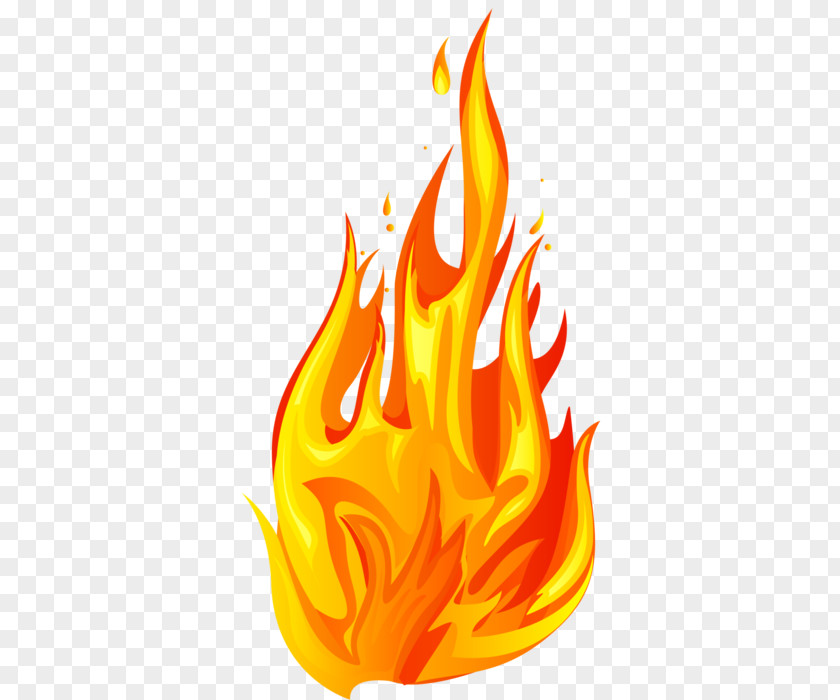 Flame Fire Drawing Clip Art PNG