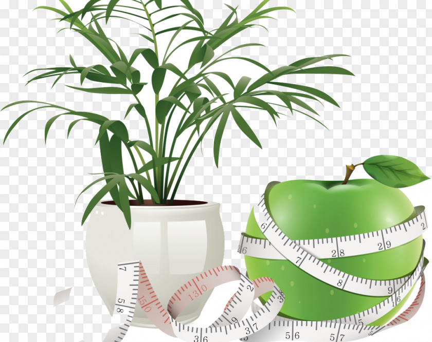 Green Apple Flowerpot Icon PNG