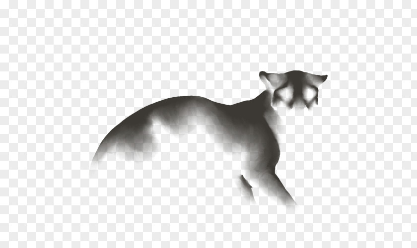 Black And White Lion Whiskers Cat Dog Canidae Snout PNG