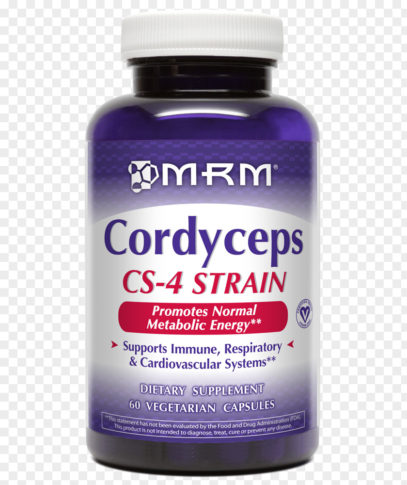 Dietary Supplement Cordyceps Capsule Vegetarian Cuisine Health PNG