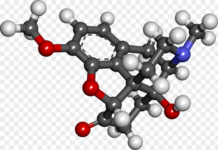 Narcotics Oxycodone/paracetamol Opioid Thebaine Codeine PNG