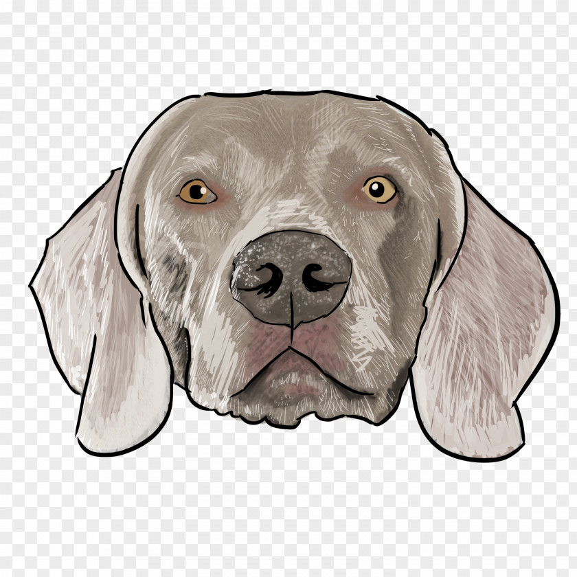 Quick As A Dog Can Lick Dish Weimaraner Breed Puppy Boxer Pointer PNG