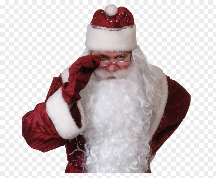 Santa Claus Ded Moroz Veliky Ustyug Grandfather Christmas Ornament PNG