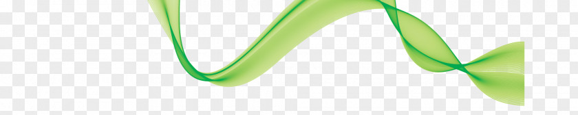 Wave Green Vector PNG