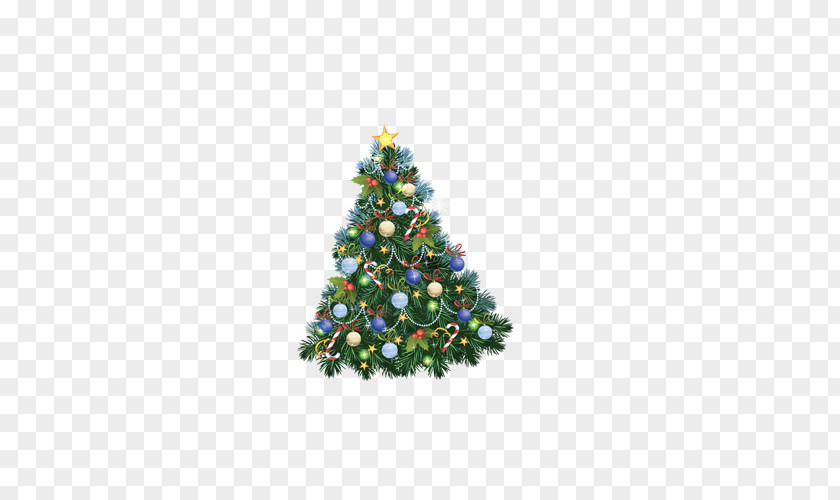 Christmas Trees Tree Clip Art PNG