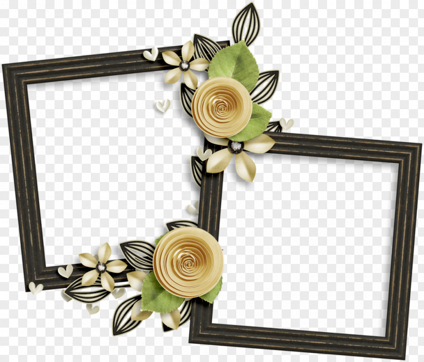 Flower Picture Frames Floral Design Beach Rose PNG