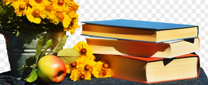 Flower Table Stack Of Books PNG