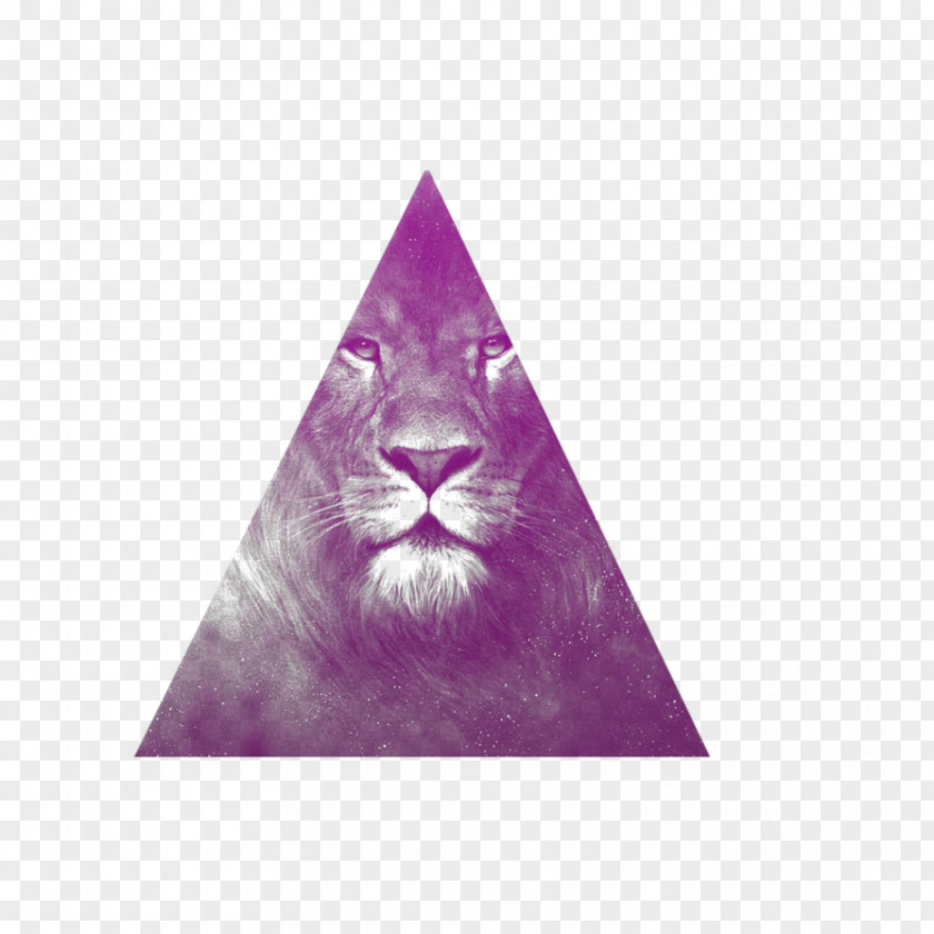 Hipster Equilateral Triangle Geometry PNG