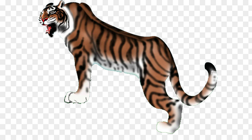 Leopard Cat Lion Tiger Felidae Clip Art PNG