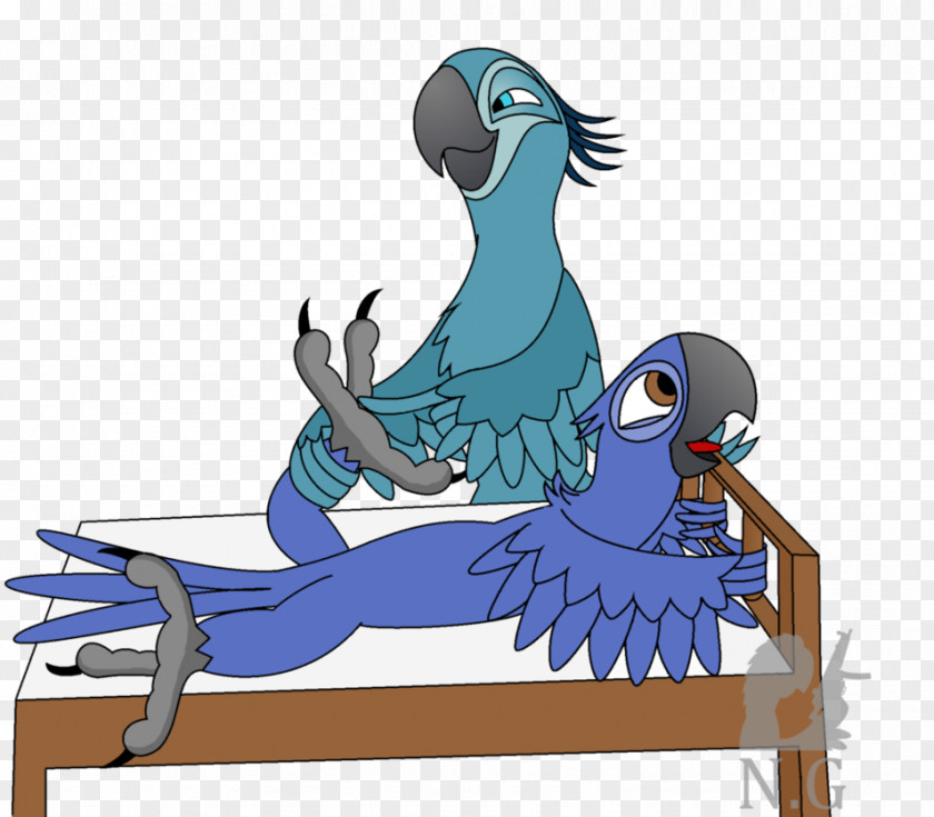 Parrot Macaw Fiction Beak Bird PNG