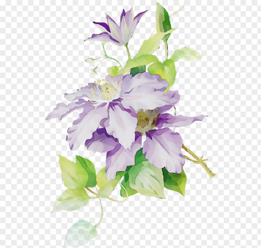 Perennial Plant Bouquet Of Flowers Drawing PNG