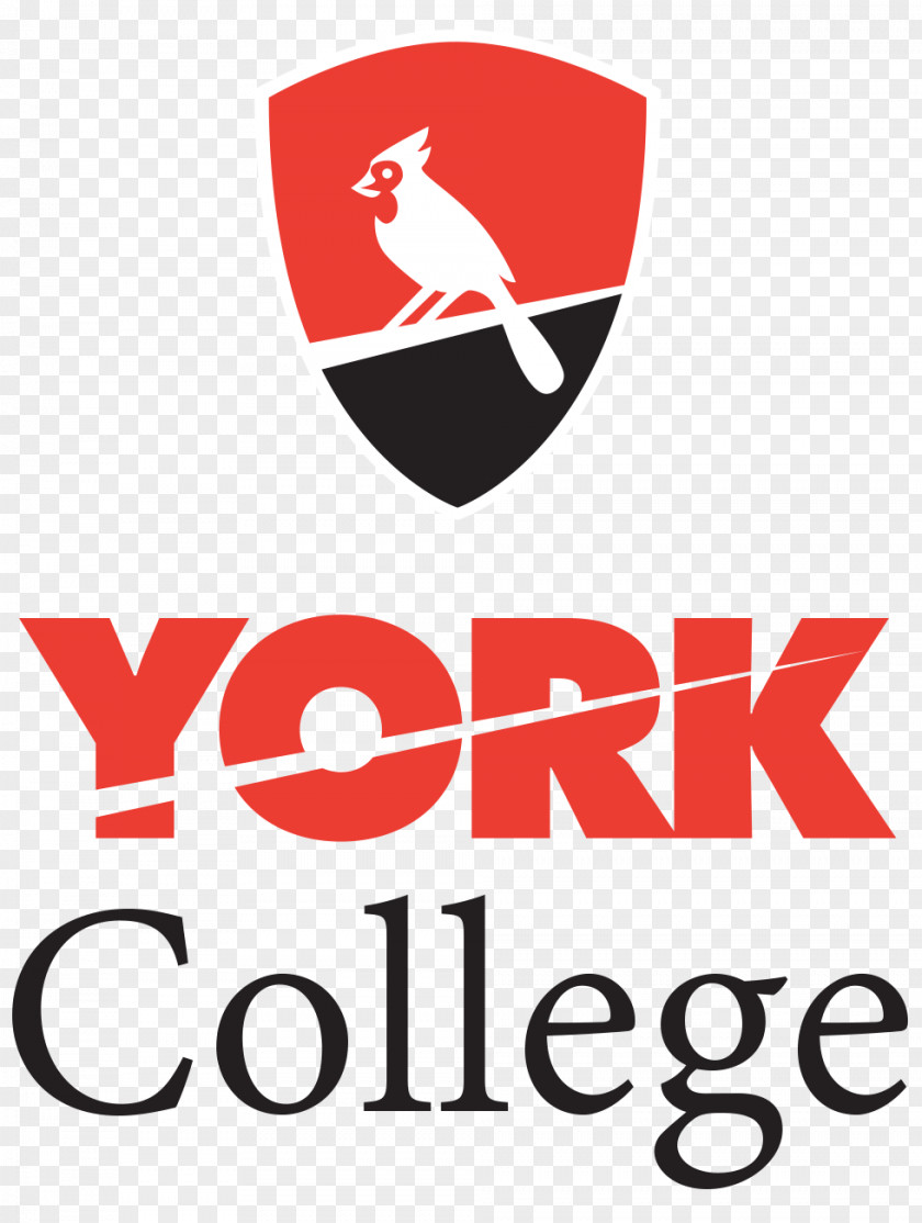 School York College, City University Of New College Brooklyn Borough Manhattan Community PNG