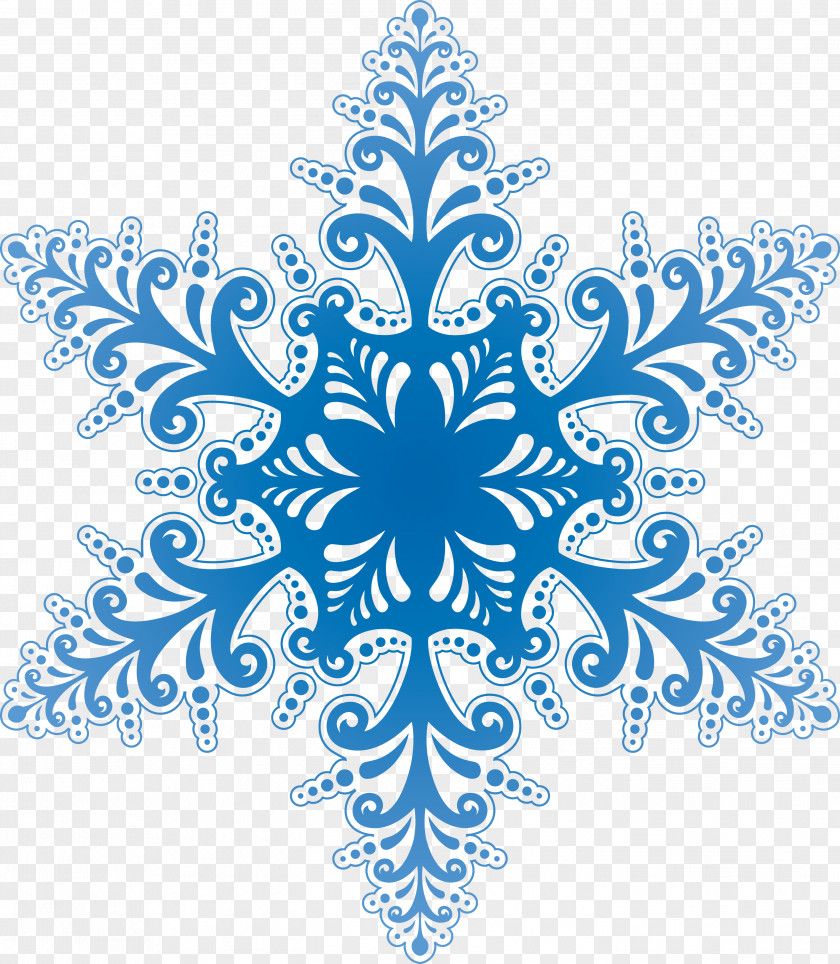 Snowflake Image Icon PNG
