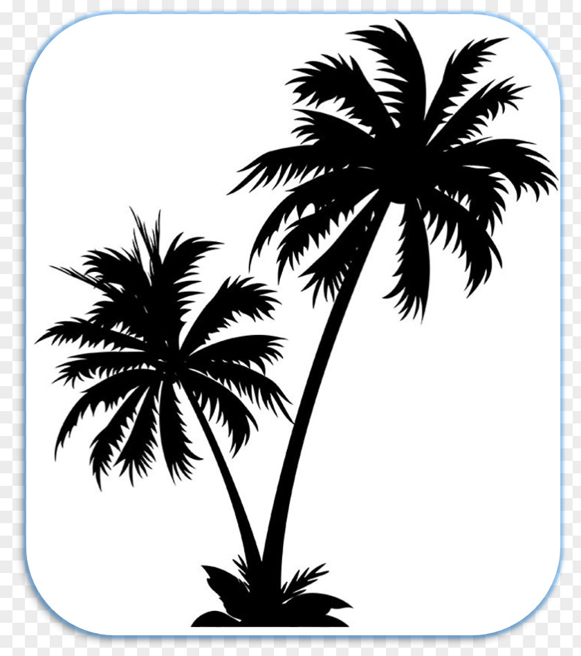 Arecaceae Clip Art PNG