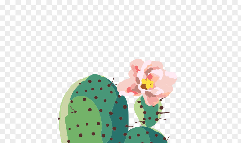 Cactus Green Cactaceae Clip Art PNG