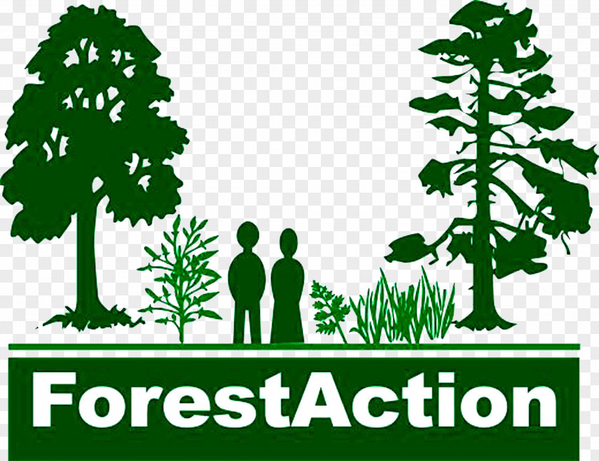 Forest Forestry Organization Logo Sustainable Management PNG