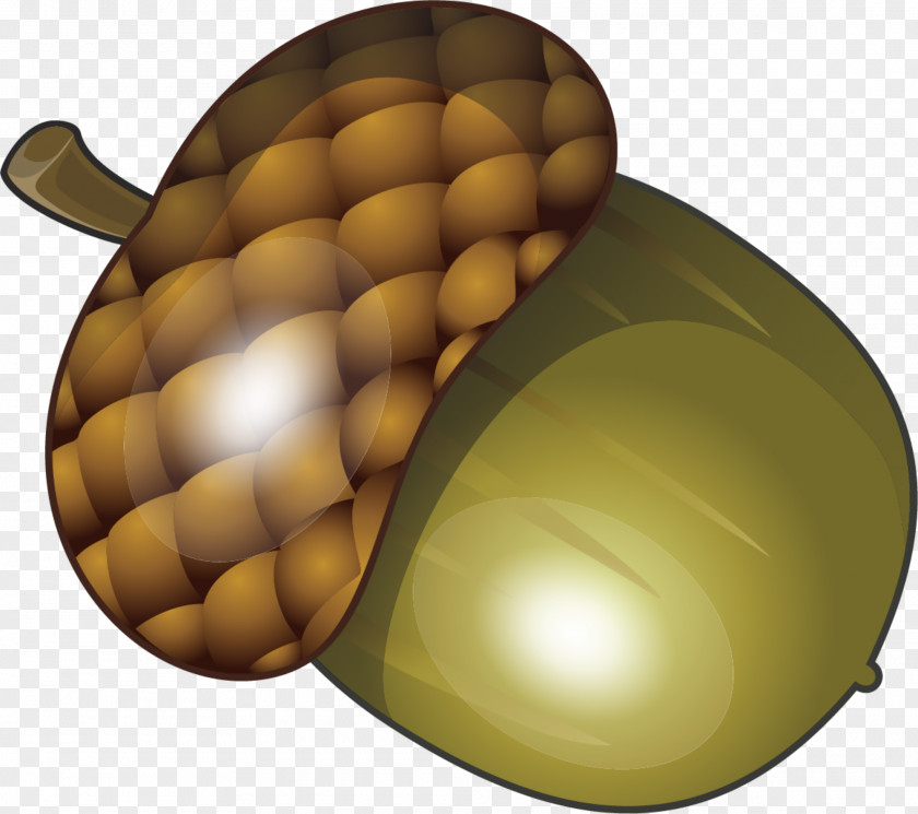 Hand Painted Green Acorn Fruit PNG