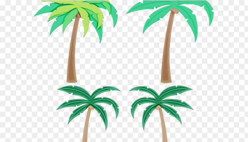 Houseplant Plant Stem Coconut Tree Drawing PNG