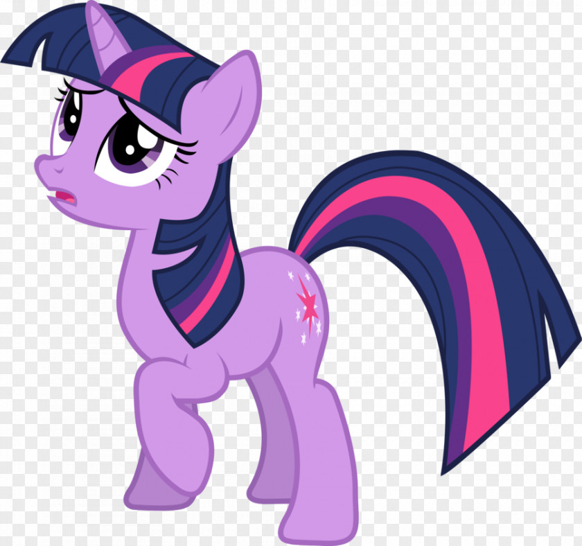 My Little Pony Twilight Sparkle Rainbow Dash Pinkie Pie Rarity PNG