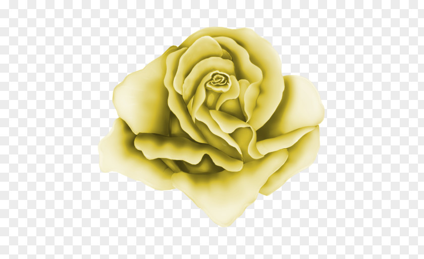Rose Garden Roses Drawing Clip Art PNG