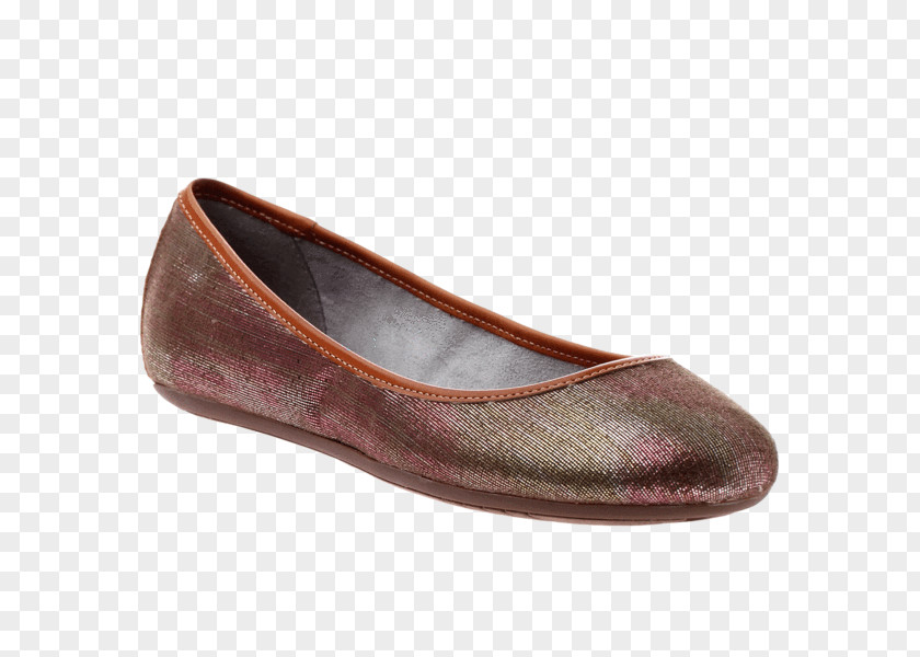 Ballet Flat Shoe Footwear Fashion PNG