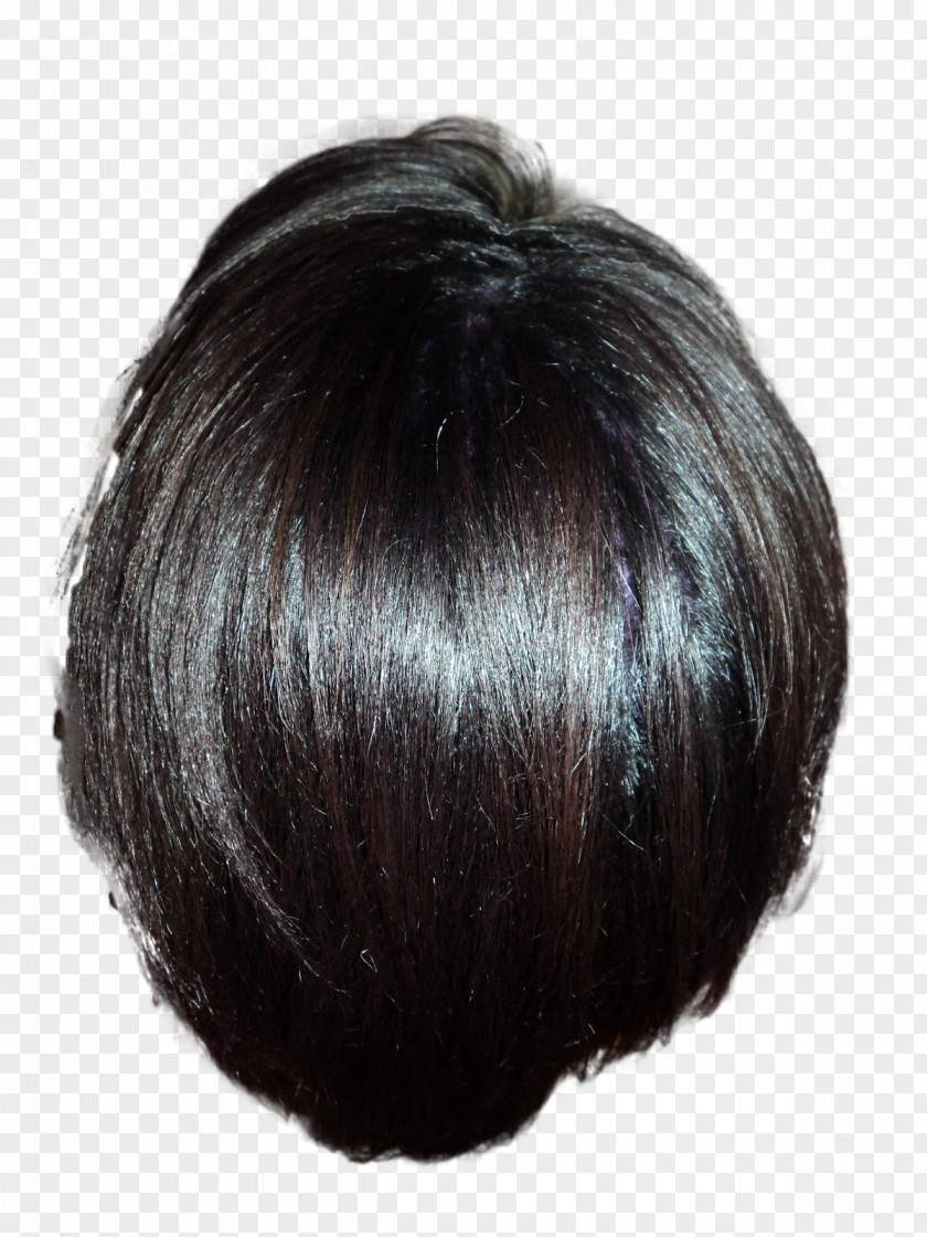Cabelo Hair Coloring Black Wig Long PNG