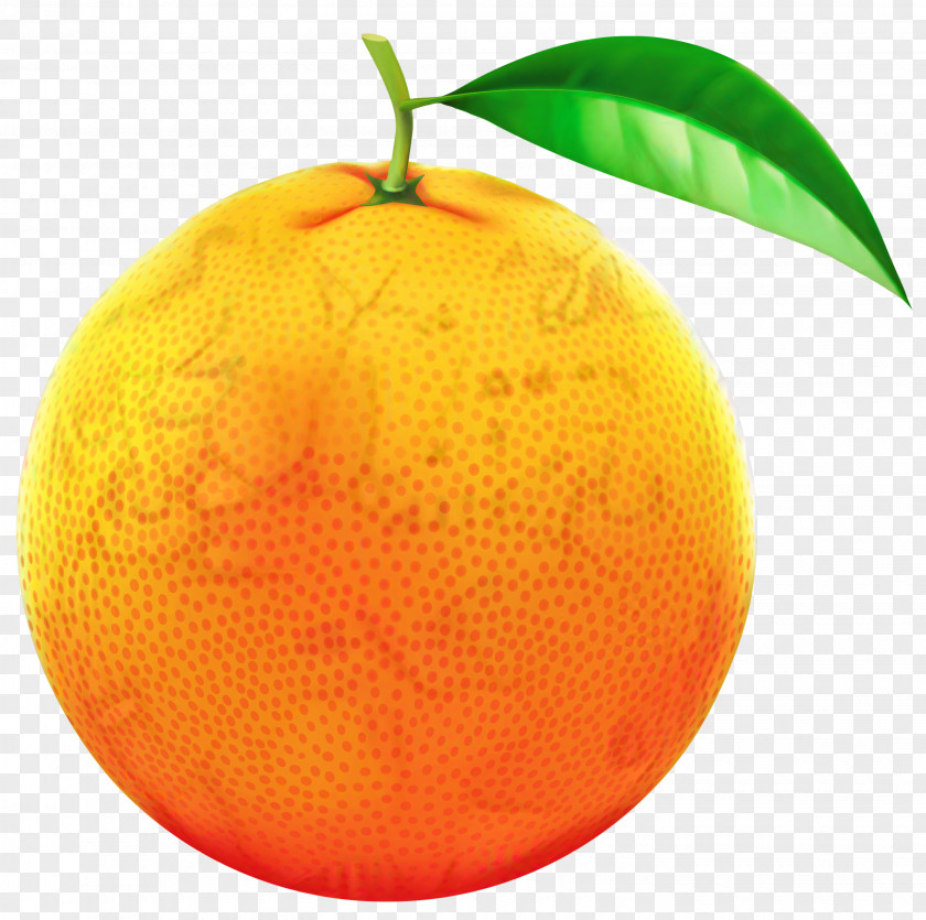 Clementine Mandarin Orange Tangerine Tangelo Blood PNG