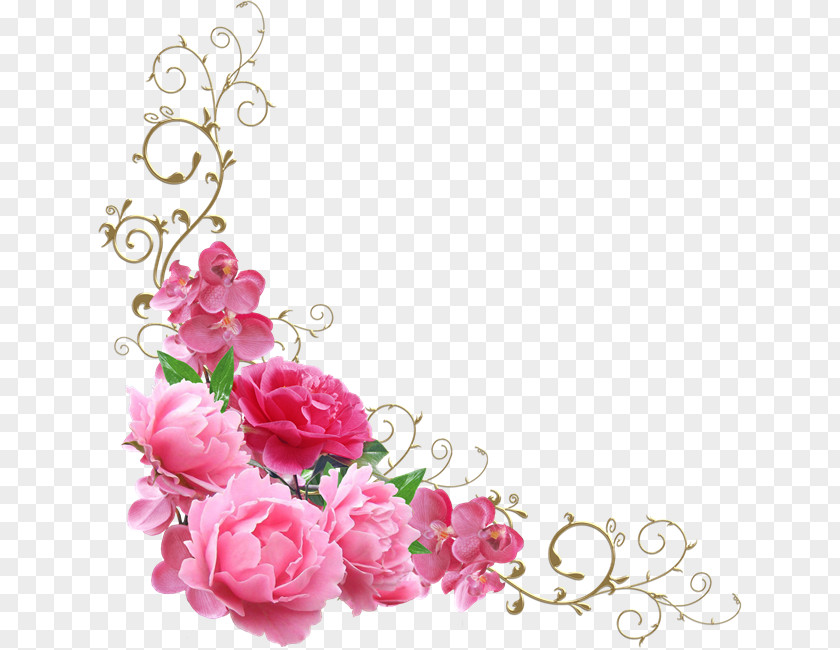 Esquinas Garden Roses Sticker Label Novohrad-Volyns'kyi Medychnyy Koledzh Adhesive Tape PNG