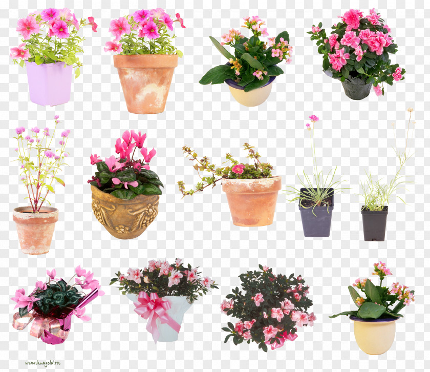 Flowerpot Clip Art PNG