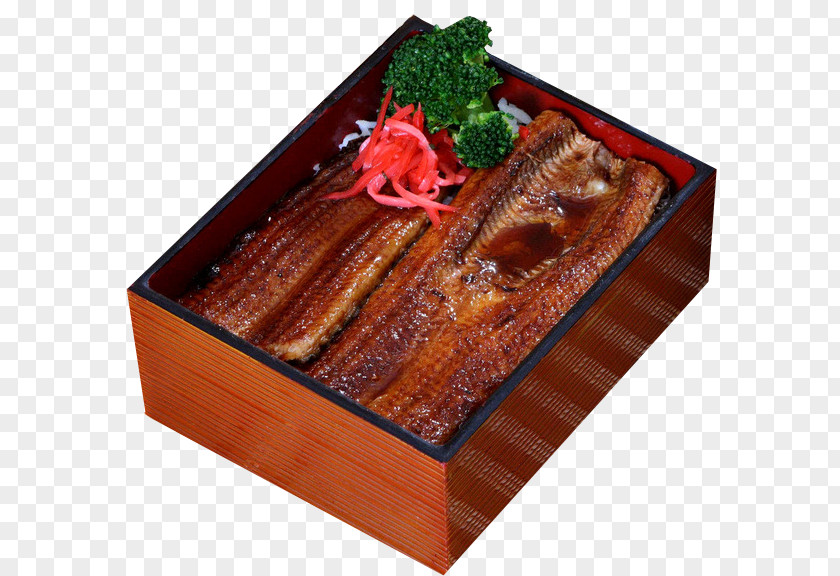 Japanese Eel Rice Unagi Cuisine Sushi Bento PNG