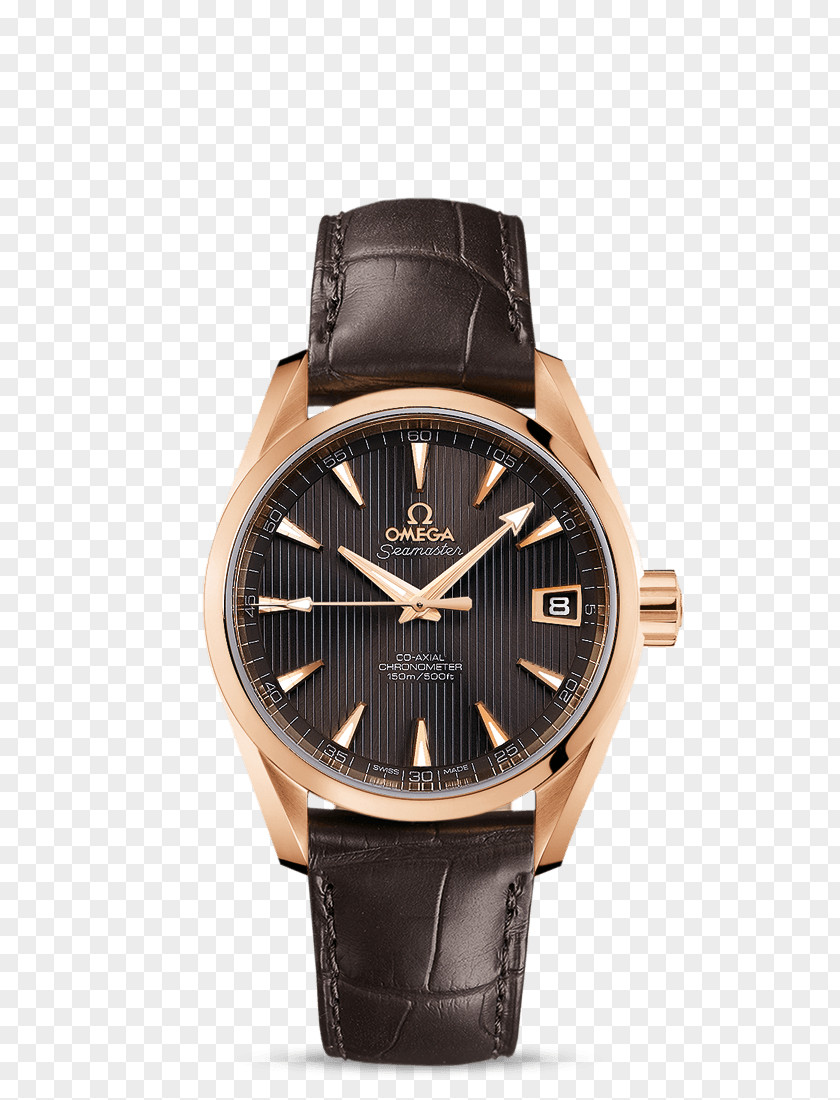 Watch Omega Seamaster SA Replica Coaxial Escapement PNG