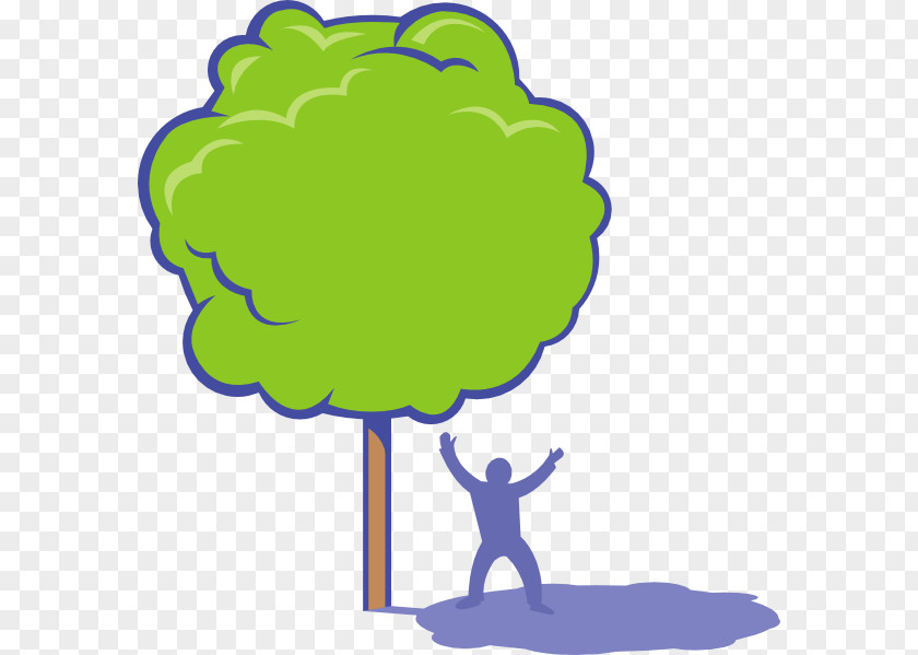 Willow Tree Cartoon Shade Free Content Clip Art PNG