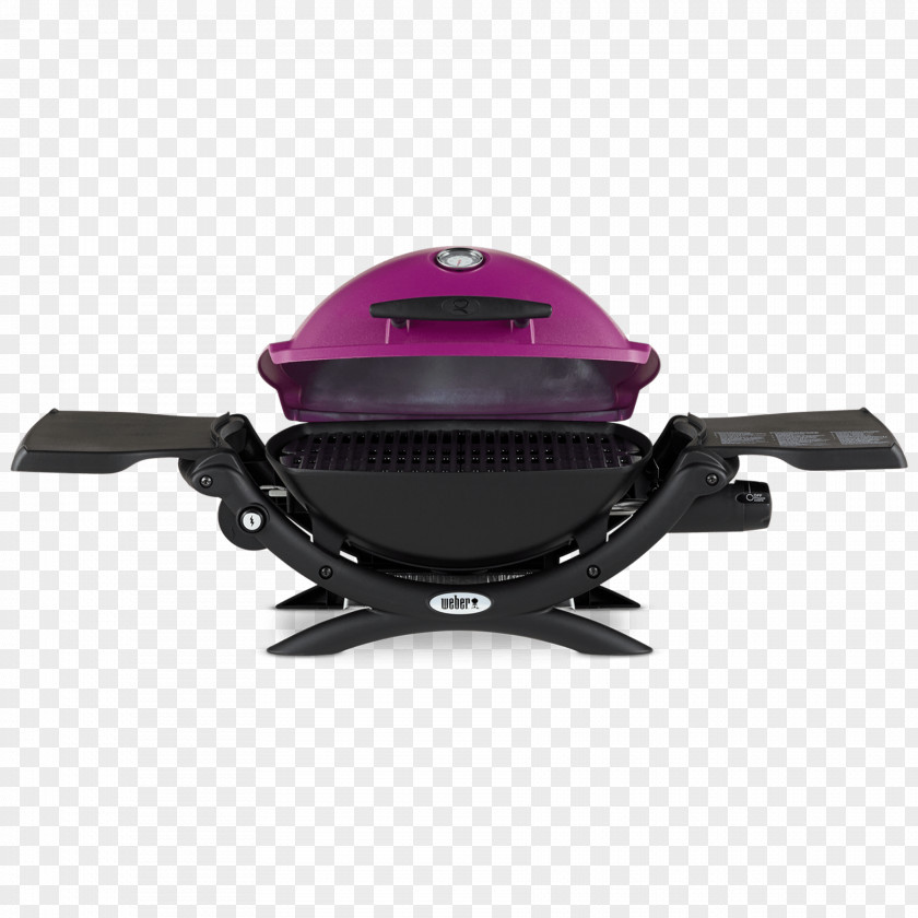 Barbecue Weber Q 1200 Weber-Stephen Products Propane Liquefied Petroleum Gas PNG