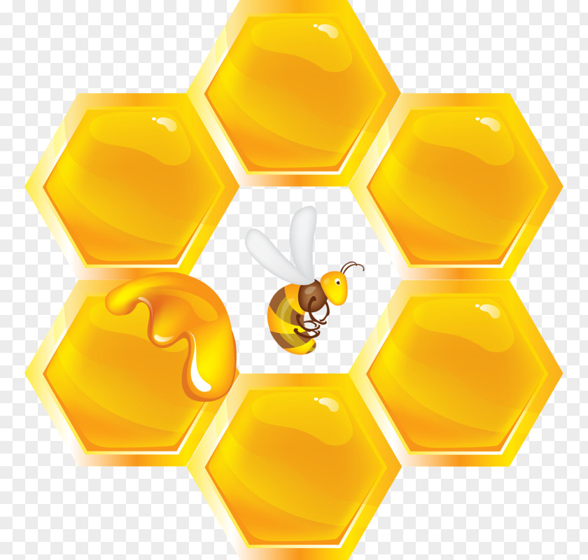 Bee And Honey Beehive Honeycomb Apis Florea PNG