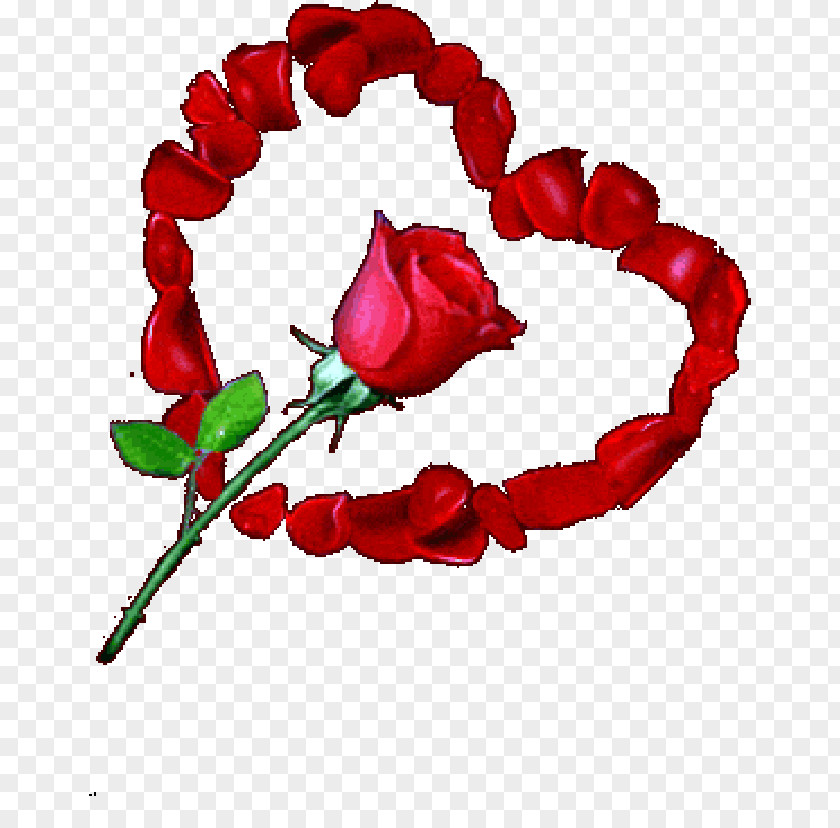 Heart Rose Symbol Flower Love PNG