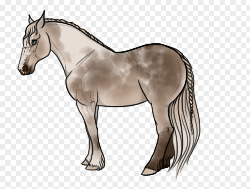 Horsemen Design Element Foal Mare Mustang Stallion Colt PNG